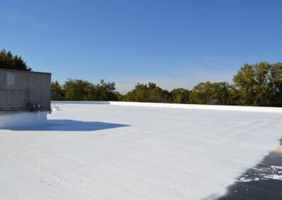 Foam Roofing